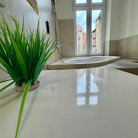 Explorer - The Couple's Corner